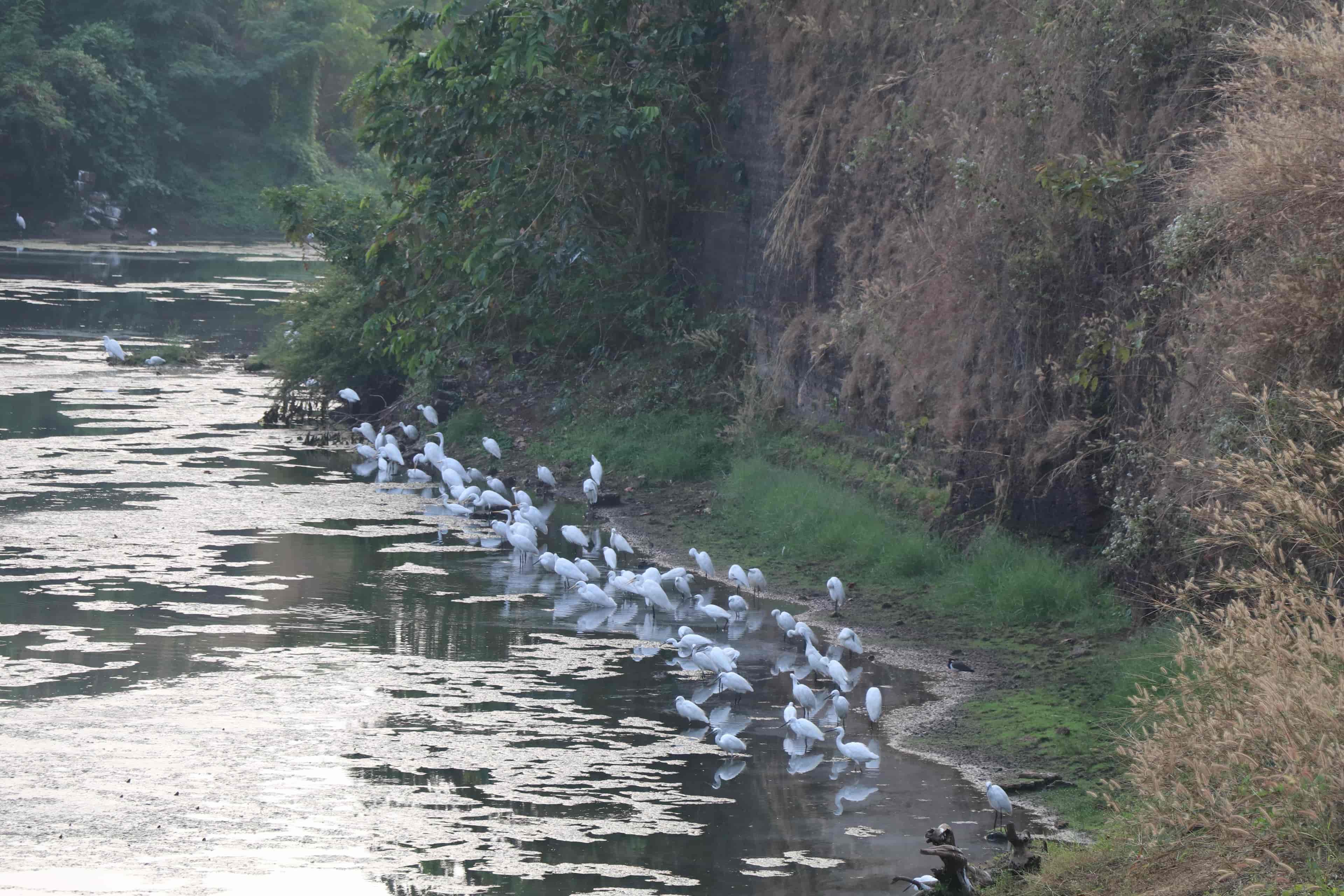 Scenes of Kerala