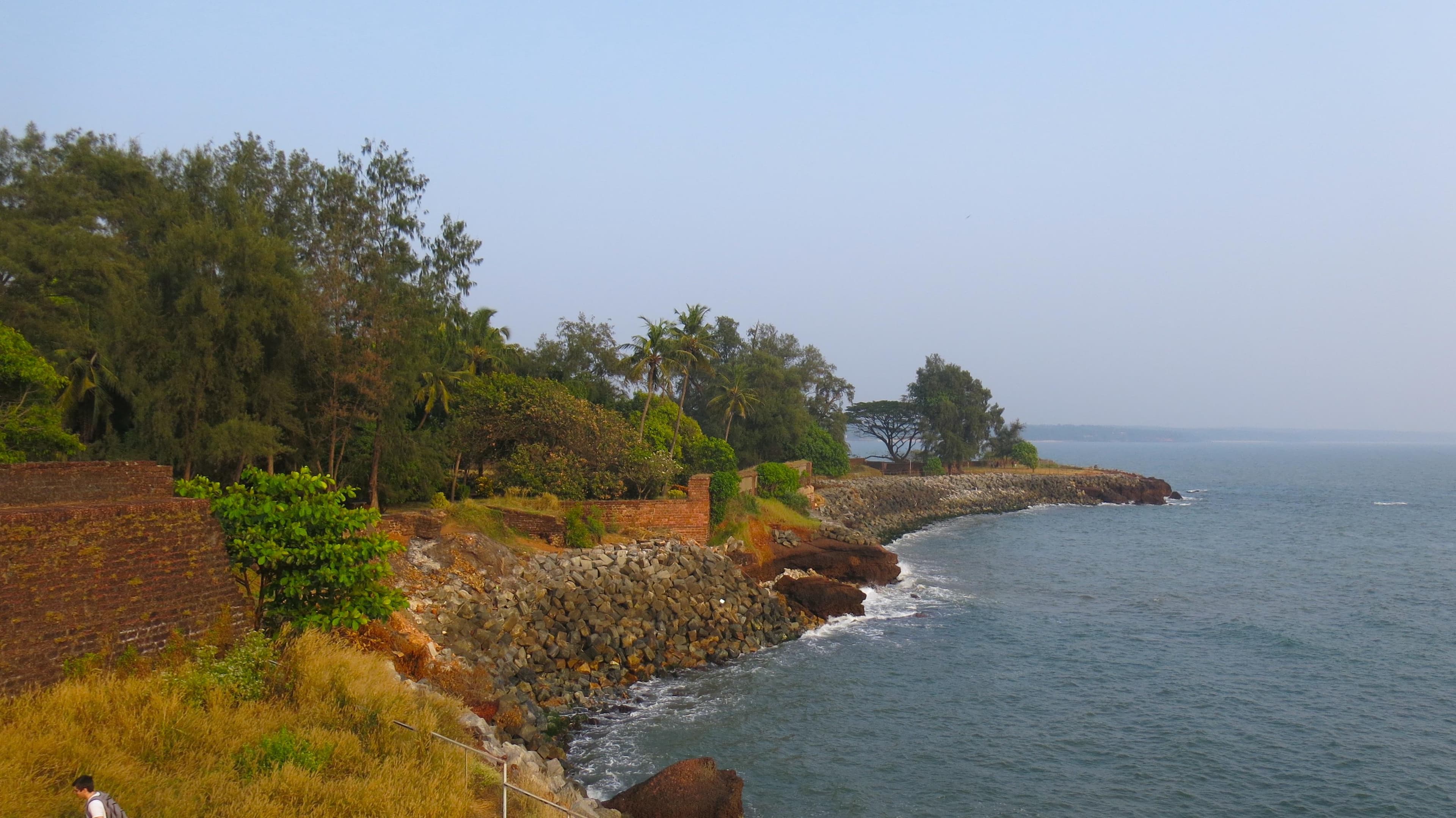 This tale was shared by Jisha Kalyani in Kozhikode.