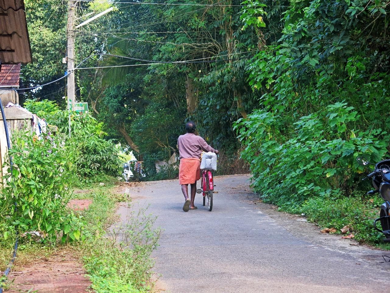 Kerala Scene 1