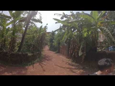 Village Street in Kannur